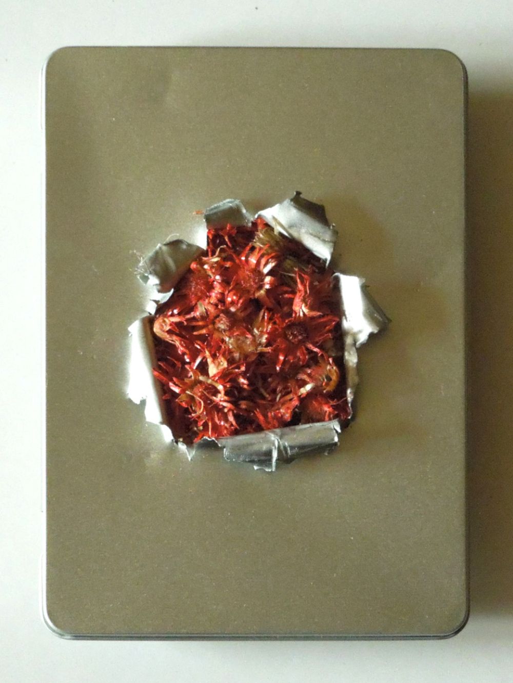 13-09-2025-kleine-welten-52-04